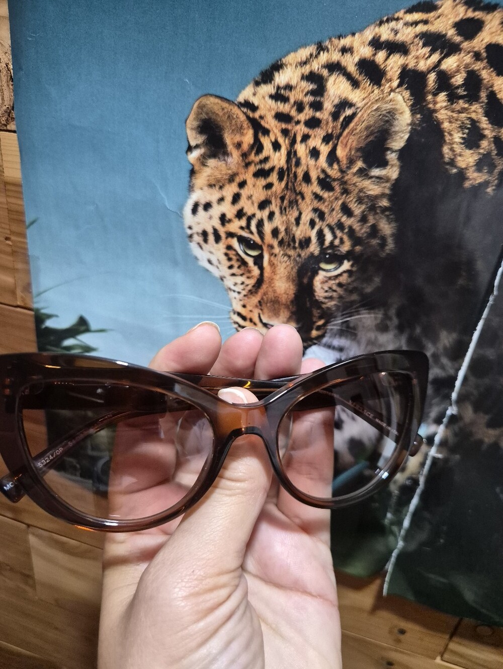 Versace Cat Clear Brown Sunglasses
